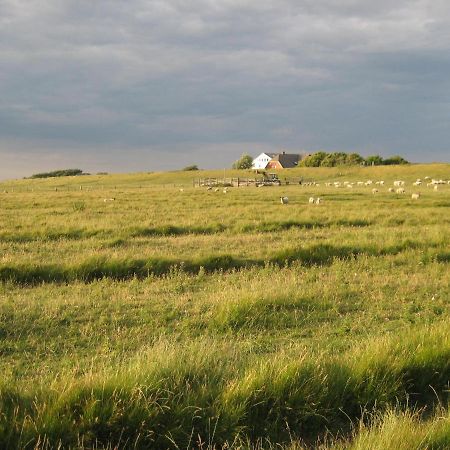 Hof Rickelsbuell - Nordseeurlaub Auf Dem Biobauernhof Rodenäs Esterno foto